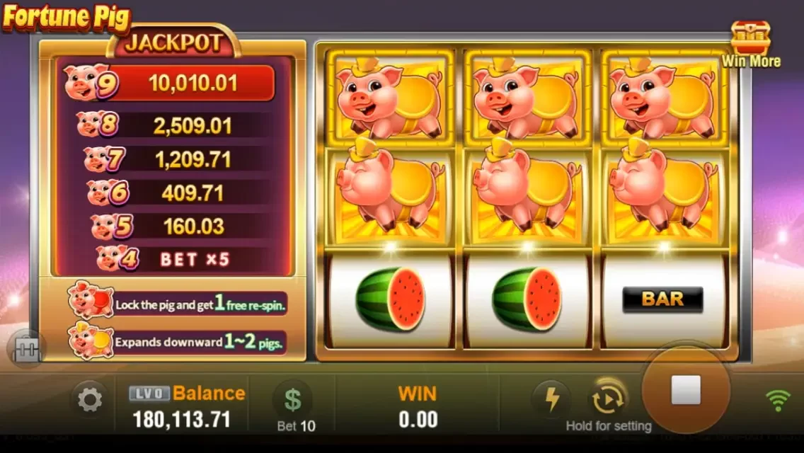Fortune Pig Captura de tela do jogo 2 Fortune Pig Captura de tela do jogo 2